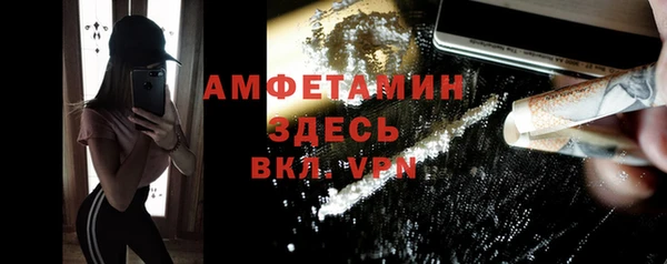 СК Алексин